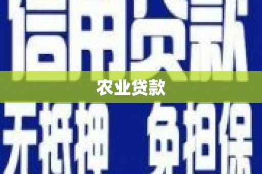 洮北农业贷款