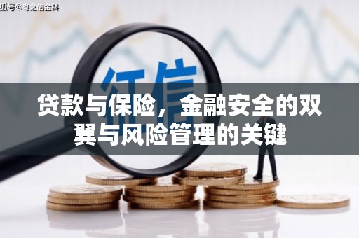 洮北贷款与保险，金融安全的双翼与风险管理的关键