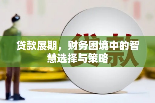 洮北贷款展期，财务困境中的智慧选择与策略