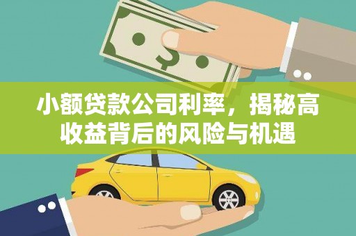 洮北小额贷款公司利率，揭秘高收益背后的风险与机遇