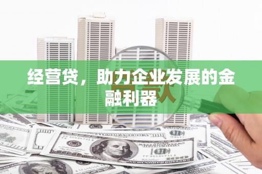 洮北经营贷，助力企业发展的金融利器
