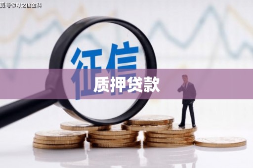 洮北质押贷款