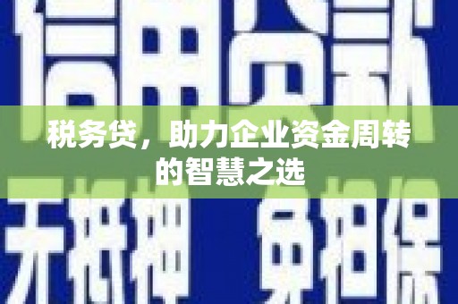 洮北税务贷，助力企业资金周转的智慧之选