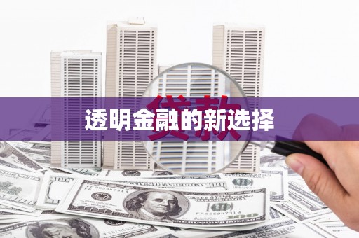 洮北透明金融的新选择