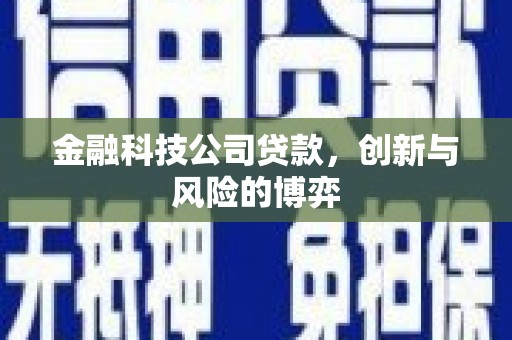 洮北金融科技公司贷款，创新与风险的博弈