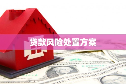洮北贷款风险处置方案
