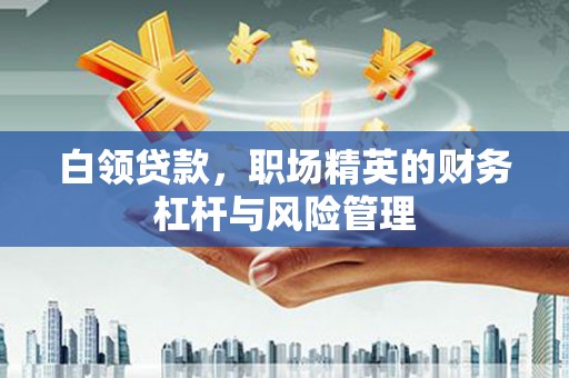 洮北白领贷款，职场精英的财务杠杆与风险管理