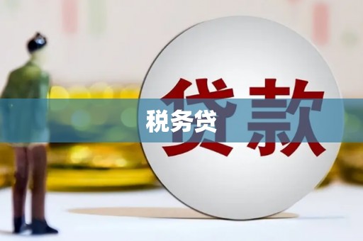 洮北税务贷