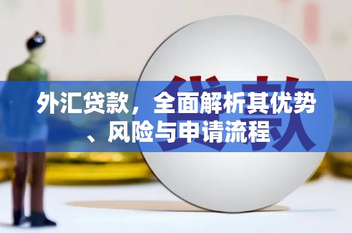 洮北外汇贷款，全面解析其优势、风险与申请流程