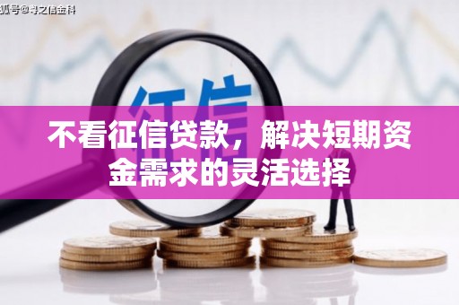 洮北不看征信贷款，解决短期资金需求的灵活选择
