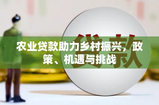 洮北农业贷款助力乡村振兴，政策、机遇与挑战