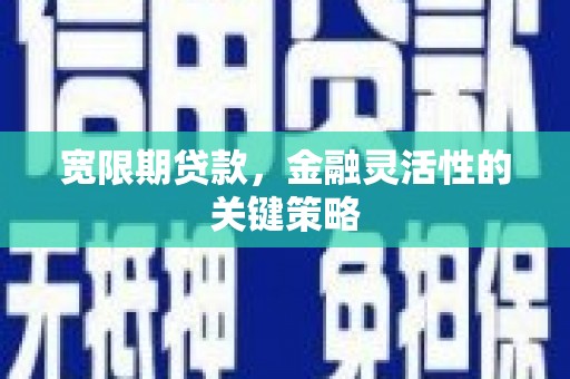 洮北宽限期贷款，金融灵活性的关键策略