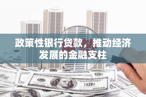 洮北政策性银行贷款，推动经济发展的金融支柱