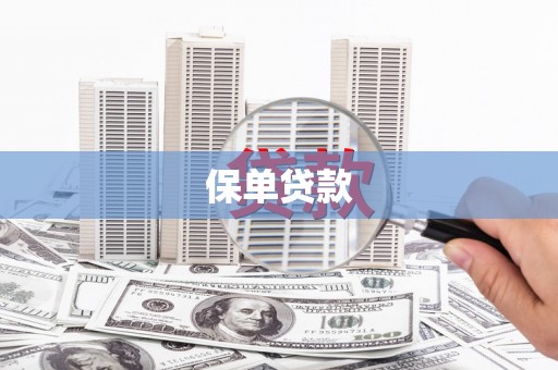 洮北保单贷款