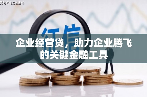 洮北企业经营贷，助力企业腾飞的关键金融工具