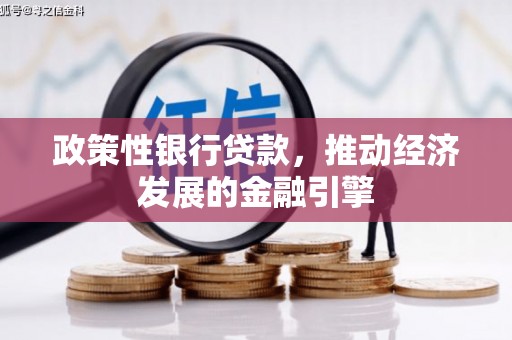 洮北政策性银行贷款，推动经济发展的金融引擎