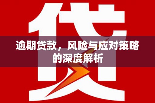 洮北逾期贷款，风险与应对策略的深度解析