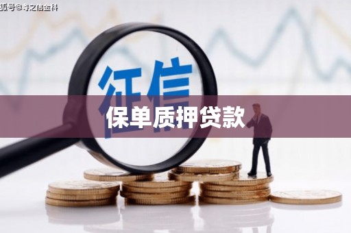 洮北保单质押贷款
