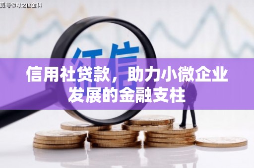 洮北信用社贷款，助力小微企业发展的金融支柱