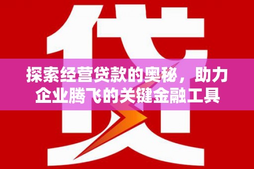 洮北探索经营贷款的奥秘，助力企业腾飞的关键金融工具