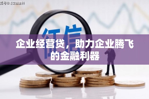 洮北企业经营贷，助力企业腾飞的金融利器
