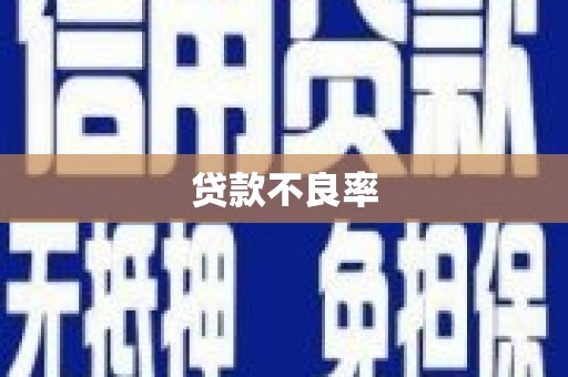 洮北贷款不良率