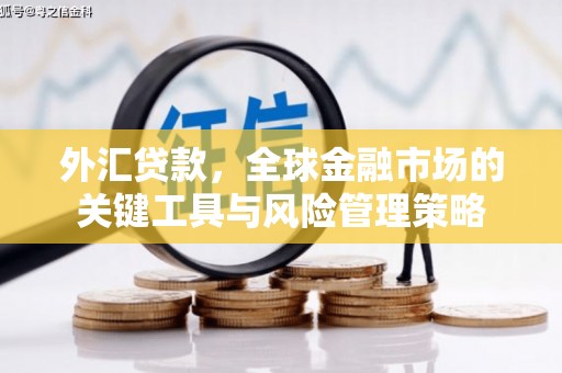 洮北外汇贷款，全球金融市场的关键工具与风险管理策略