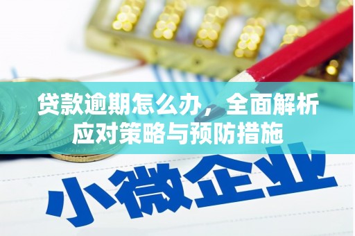 洮北贷款逾期怎么办，全面解析应对策略与预防措施