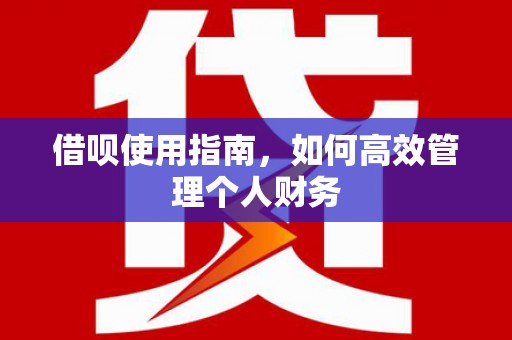 洮北借呗使用指南，如何高效管理个人财务