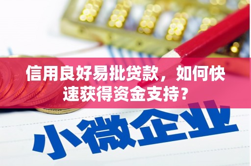 洮北信用良好易批贷款，如何快速获得资金支持？