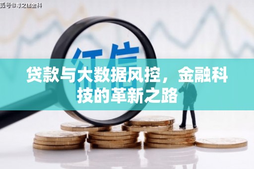 洮北贷款与大数据风控，金融科技的革新之路