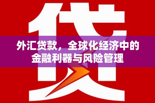 洮北外汇贷款，全球化经济中的金融利器与风险管理