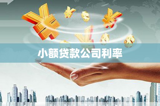 洮北小额贷款公司利率