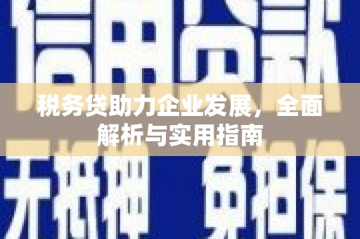 洮北税务贷助力企业发展，全面解析与实用指南