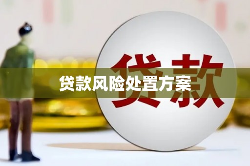洮北贷款风险处置方案
