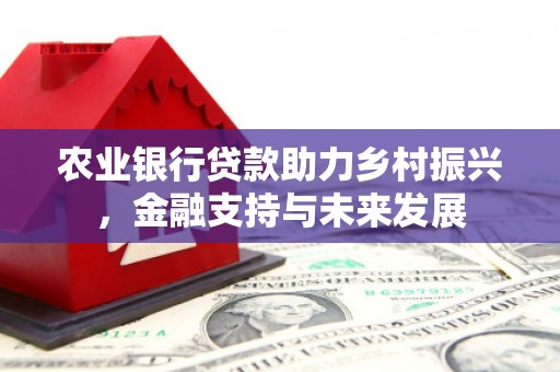 洮北农业银行贷款助力乡村振兴，金融支持与未来发展