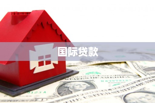洮北国际贷款