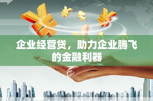 洮北企业经营贷，助力企业腾飞的金融利器