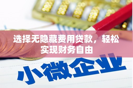 洮北选择无隐藏费用贷款，轻松实现财务自由
