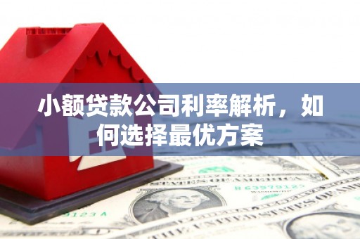 洮北小额贷款公司利率解析，如何选择最优方案