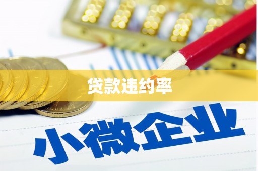 洮北贷款违约率