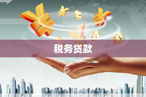 洮北税务贷款