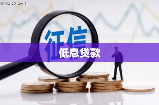 洮北低息贷款