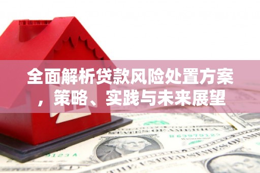 洮北全面解析贷款风险处置方案，策略、实践与未来展望
