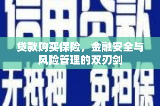 洮北贷款购买保险，金融安全与风险管理的双刃剑