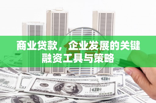 洮北商业贷款，企业发展的关键融资工具与策略