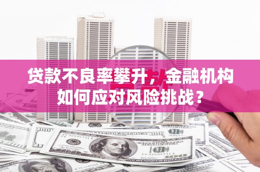 洮北贷款不良率攀升，金融机构如何应对风险挑战？