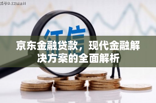 洮北京东金融贷款，现代金融解决方案的全面解析