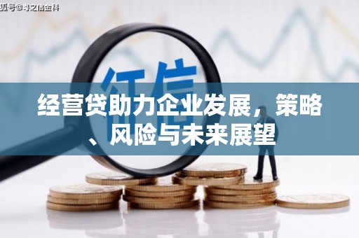 洮北经营贷助力企业发展，策略、风险与未来展望