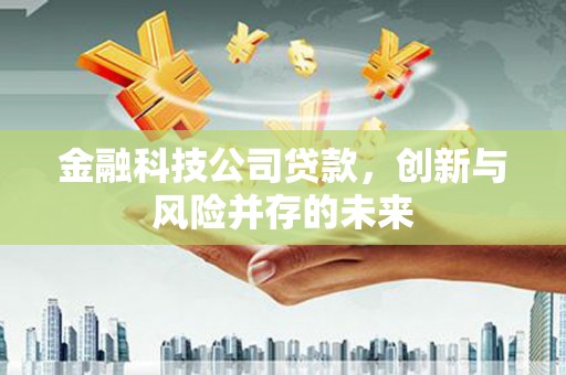洮北金融科技公司贷款，创新与风险并存的未来